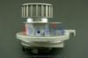 AKS DASIS 781140N Water Pump